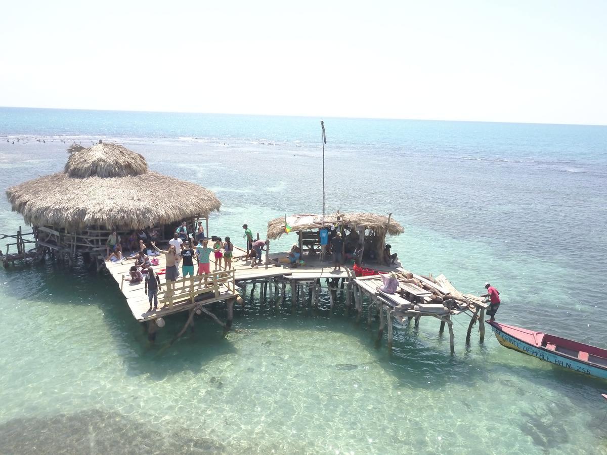 Zimbali Culinary Retreats Villa Negril Bagian luar foto