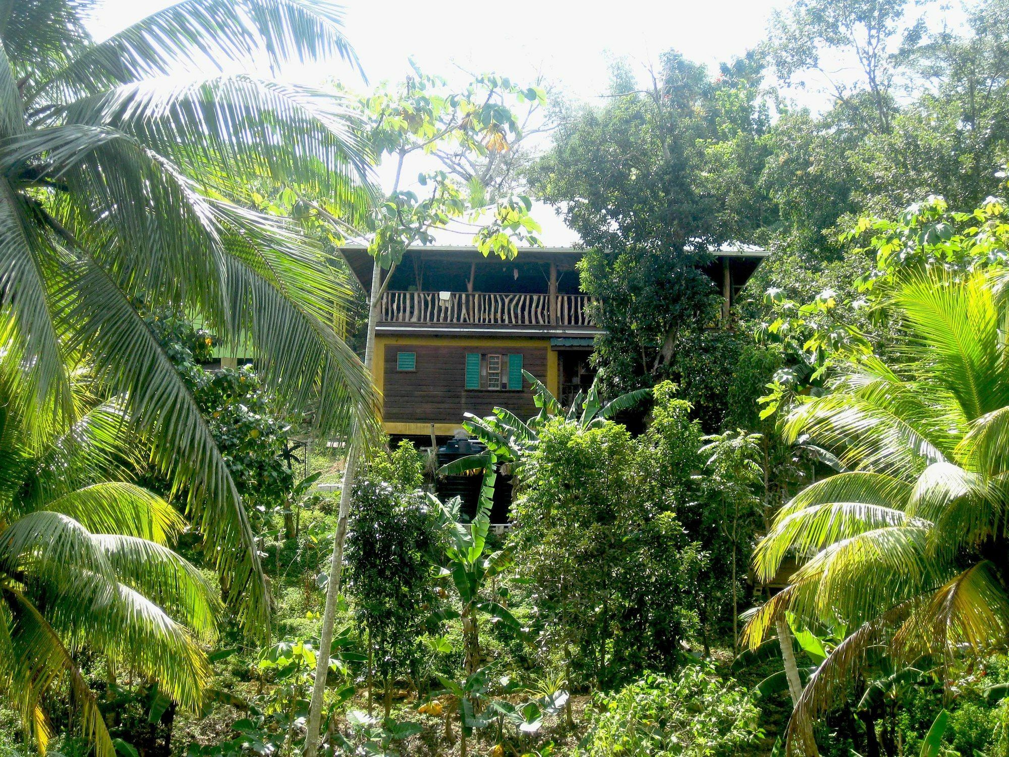 Zimbali Culinary Retreats Villa Negril Bagian luar foto